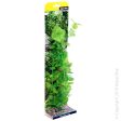 Aqua One Ecoscape X-Large Cardamine Green For Cheap