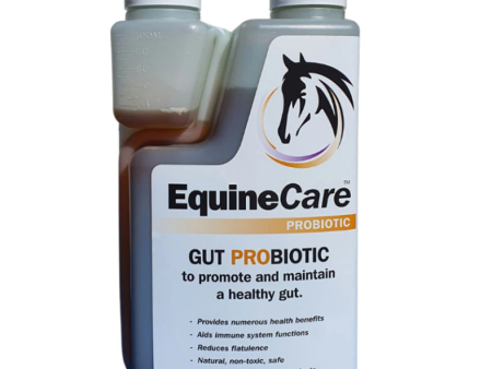 EquineCare Gut Probiotic 1L Online Hot Sale