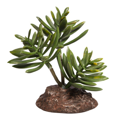 Reptile One Plant Mini Senecio Green With Ceramic Base For Discount