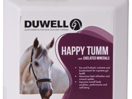 Duwell Happy Tumm Super Conditioner 2ltr Online Sale