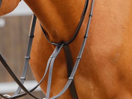 Premier Equine Fuscaldo Running Martingale on Sale