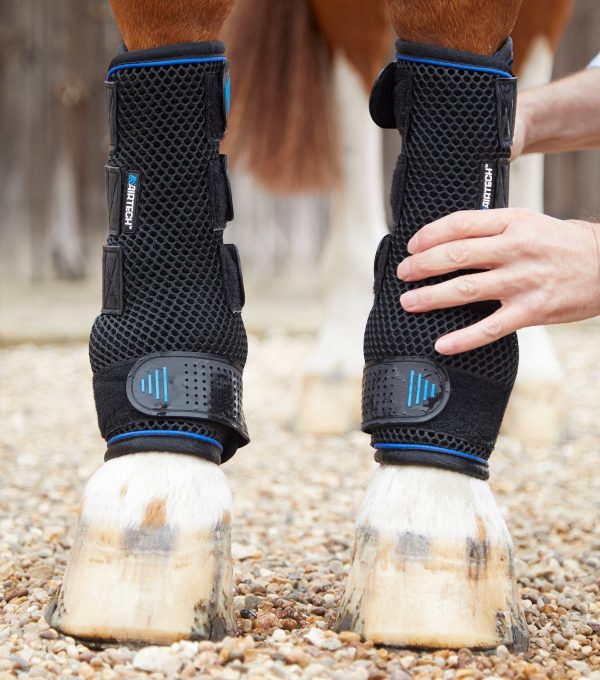 Premier Equine Cold Water Compression Boots For Sale