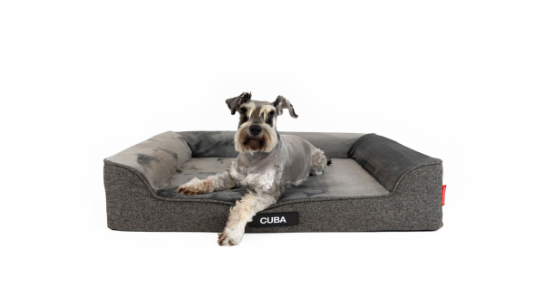 EzyDog Next-Gen Ortho Lounger Charcoal Discount