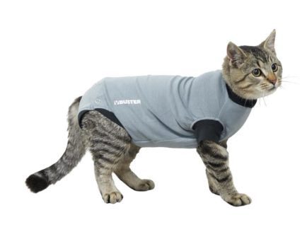 Buster Body Suit Cat Grey Black Small Sale