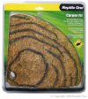 Reptile One Reptile-A-Float Corner Landing on Sale