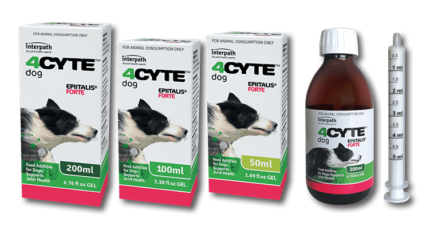 4Cyte Epiitalis Forte Dog 100ml Online Hot Sale