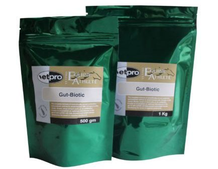 VetPro Equine Gut Biotic Online