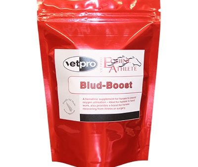 VetPro Blud Boost 1KG Discount