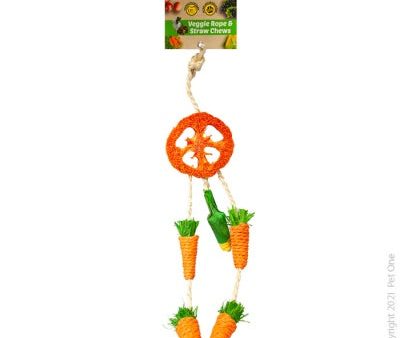 Pet One Rope & Straw Chew Hanging Dreamcatcher For Cheap