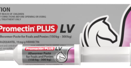 Promectin Plus LV Foal & Pony 3.15G Online now