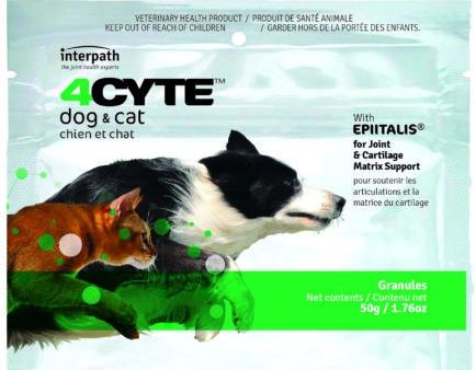 4Cyte Canine & Feline 50G Online