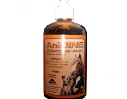 Anidine PVP Iodine Wash 500ml Pump Hot on Sale