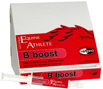 VetPro B-Boost Paste Single Online