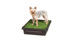 Petsafe The Pet Loo Small Supply