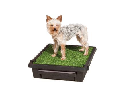 Petsafe The Pet Loo Small Supply