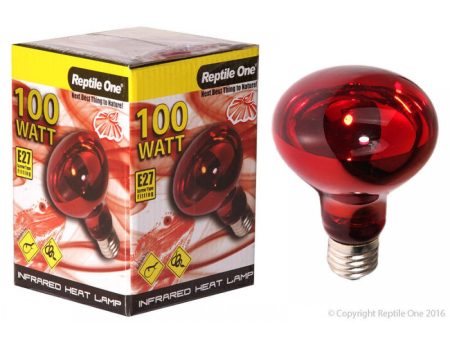 Reptile One Heat Lamp Infrared 100W (E27) Online now