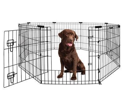 Yours Droolly Exercise Pen 42  For Discount