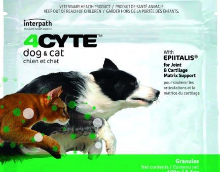 4Cyte Canine & Feline 100G Online now