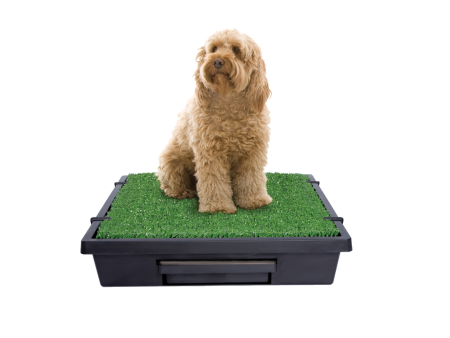 Petsafe The Pet Loo Medium Fashion