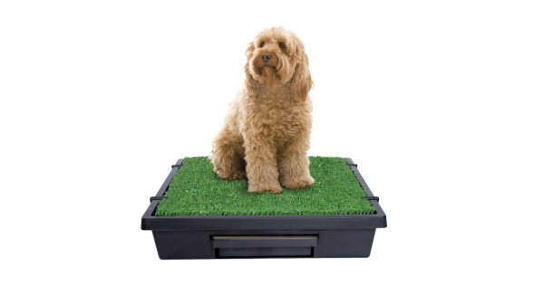 Petsafe The Pet Loo Medium Fashion