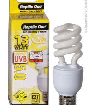 Reptile One Compact UVB 5.0 13W (E27) Online now