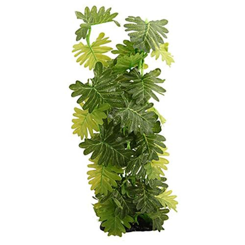 Reptile One Plant Philodendron Selloum 40cm Online