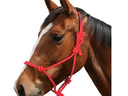 Blue Tag Rope Halter on Sale